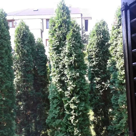 Hostel Smestaj - Sobe Marvel Ni